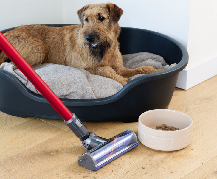 Как продлить срок службы пылесоса: практические советы